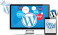 fix wordpress bugs, optimize speed, and enhance security