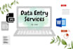 do fastest data entry in 24h  and internet research