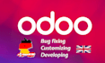 install odoo, create website, develop odoo modules, fix bugs