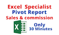 do specialist excel pivot table report
