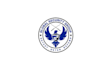 create professional crypto, cyber security and tech logo