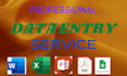 do proper data entry, web inquiry and data collection
