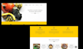 do front end development in HTML CSS javascript and react