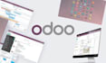 do consulting and dev of business moduls in odoo, w or wo license, problem sol