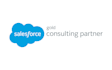 help optimize your salesforce platform with expert custom development