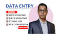 do high speed web scraping data mining data entry