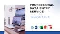 do data entry, copypaste, web research and excel data entry