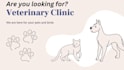 take care of pets as veterinary doctor veterinarian consultation