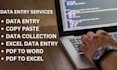 be your perfect data entry expert and web research specialist