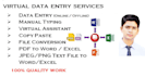 do data entry, copy paste, file conversion, ms office word excel power point