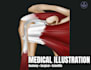 create medical and anatomy illustrations for publications