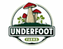 do make an modern custom mushroom logo