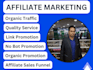 affiliate manager, affiliate marketer, link promotion