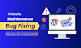 fix wordpress bug and errors quick and efficient solution guaranteed