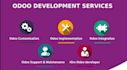 provide odoo technical and functional  service