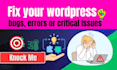 fix wordpress issues, wordpress errors, and bugs