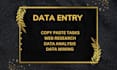 do freelance data entry work,copy paste and data analysis