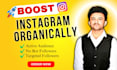 do super fast organic instagram growth