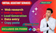 do web research, data entry, copy paste, web scraping and virtual assistant