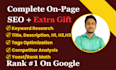 do SEO onpage optimization on wordpress wix for 1st page ranking