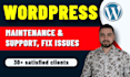 provide maintenance and support for your wordpress website