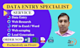 do accurate data entry copy paste web research PDF to excel work