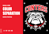 do color separation for screen printing, spot color vector