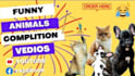 create viral cute funny animals videos pets, compilations videos within 24 hrs