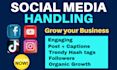 be your social media handler, social media handler expert