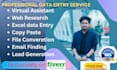 enter reliable data entry, copy paste, web research, web scraping, lead gen
