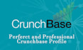 create a professional business profile on crunchbase
