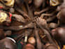 write on ethiopia culture, current events etc