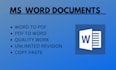 do professionally ms word  document formatting