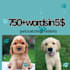 write SEO pet blog dog training and veterinary articles posts in 24 hours