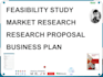 create feasibility study, business plan and market research