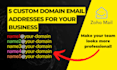 set up a custom business email address with your domain