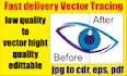 vector tracing low quality to hight quality vector