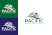 create a professional business logo design or redesign
