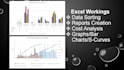do excel reports, bar charts, graphs cost analysis reports