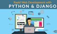 code anything you want in   python , python django, dotnet core