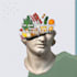 motion graphics and 2d animation