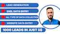 be virtual assistant of data entry, excel data cleaning, email finding