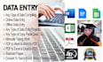 do manual entry work, data from  web to excel  on affordable rates
