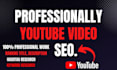 do professionally youtube video SEO