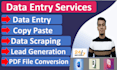 do data entry, pdf conversion, b2b lead generation, copy paste and scrapping