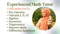 tutor algebra, calculus, geometry and university level math