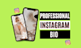 write a professional instagram bio for your instagram