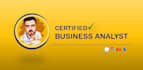 provide business and systems documentation analysis