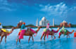 assist you in any errand in india