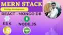website developement mern stack and node api integration